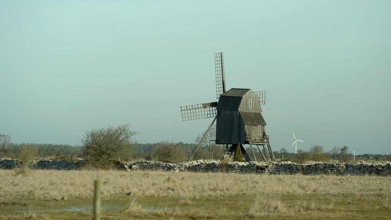 Backdrop – Det knallar och småspringer