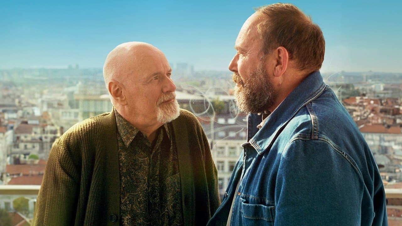 Backdrop – Les tortues