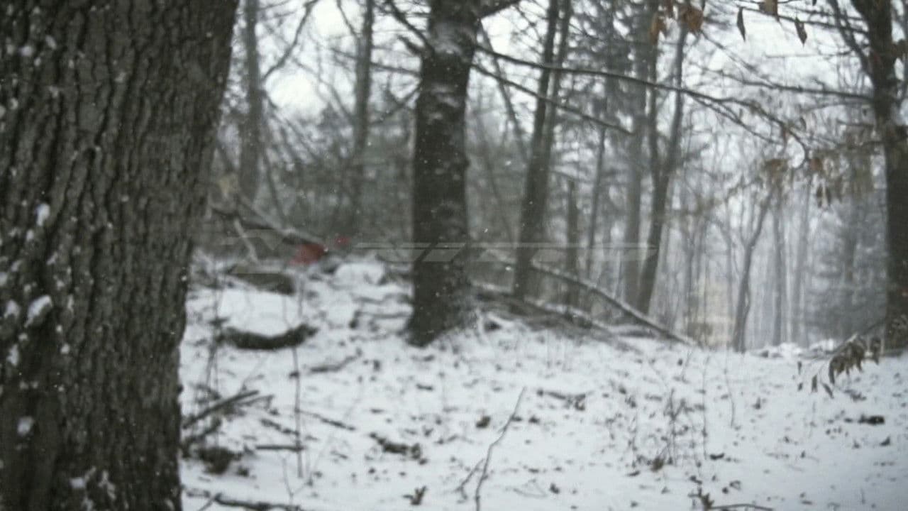 Backdrop – Element of Survival