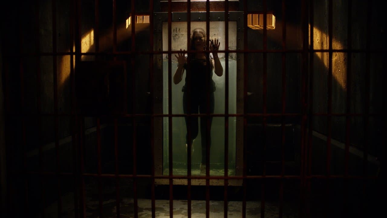 Backdrop – Follow Me