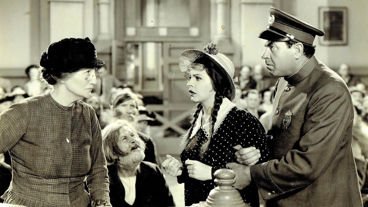 Backdrop – Mountain Music