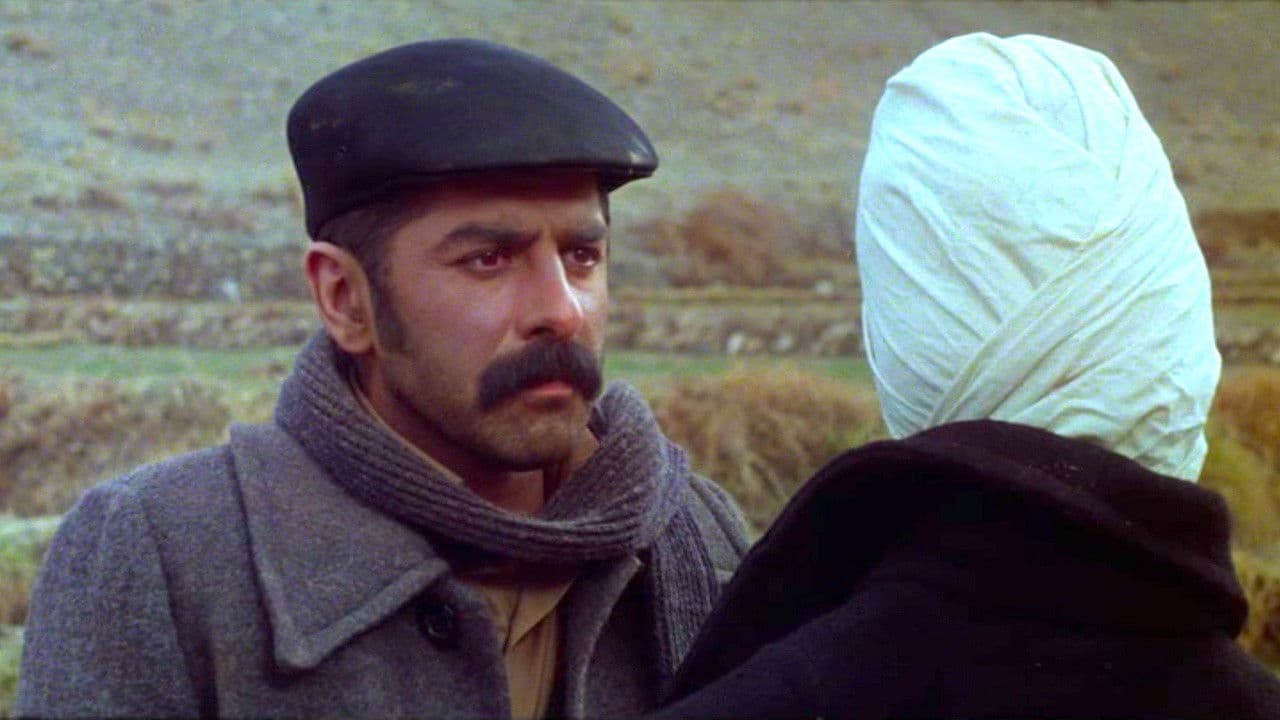 Backdrop – سایه های بلند باد