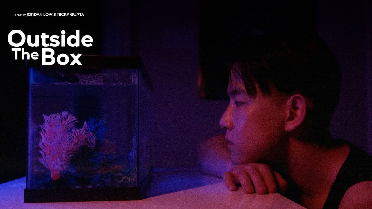 Backdrop – Outside The Box - Short