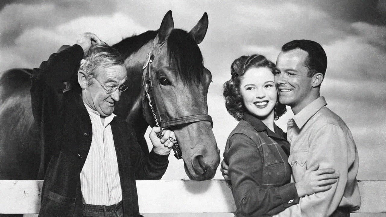 Backdrop – The Story of Seabiscuit