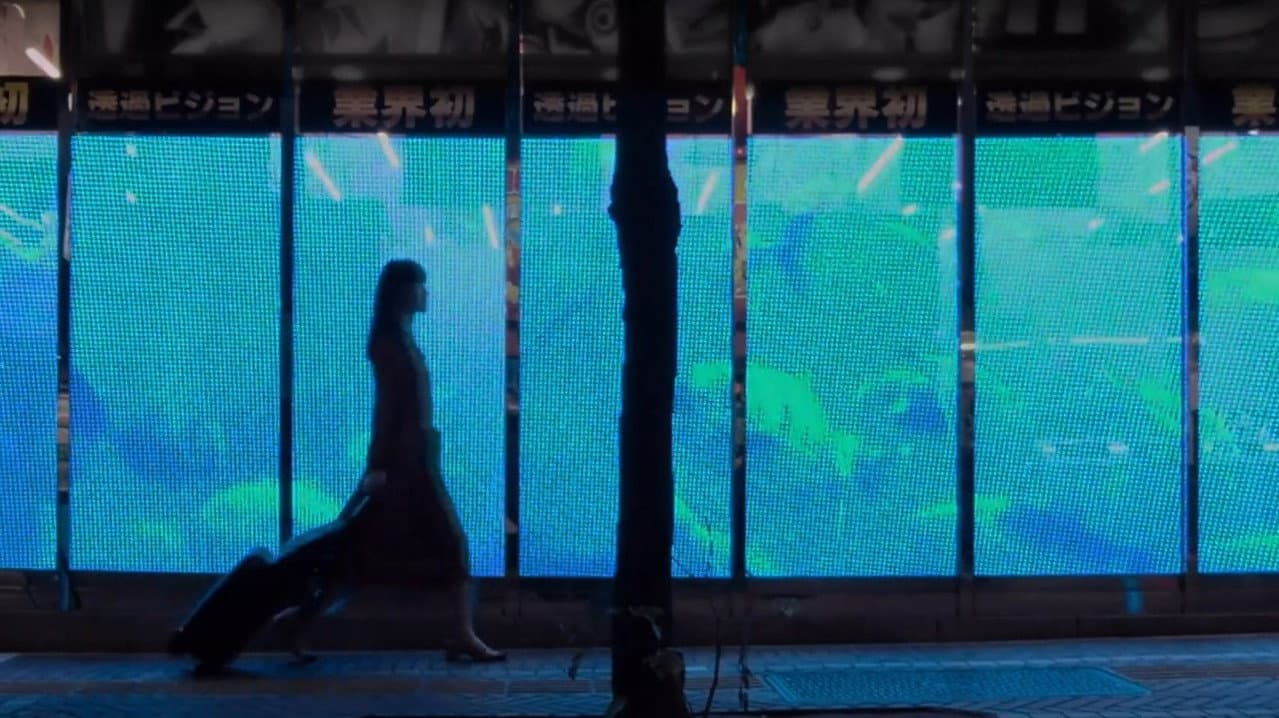 Backdrop – 片袖の魚