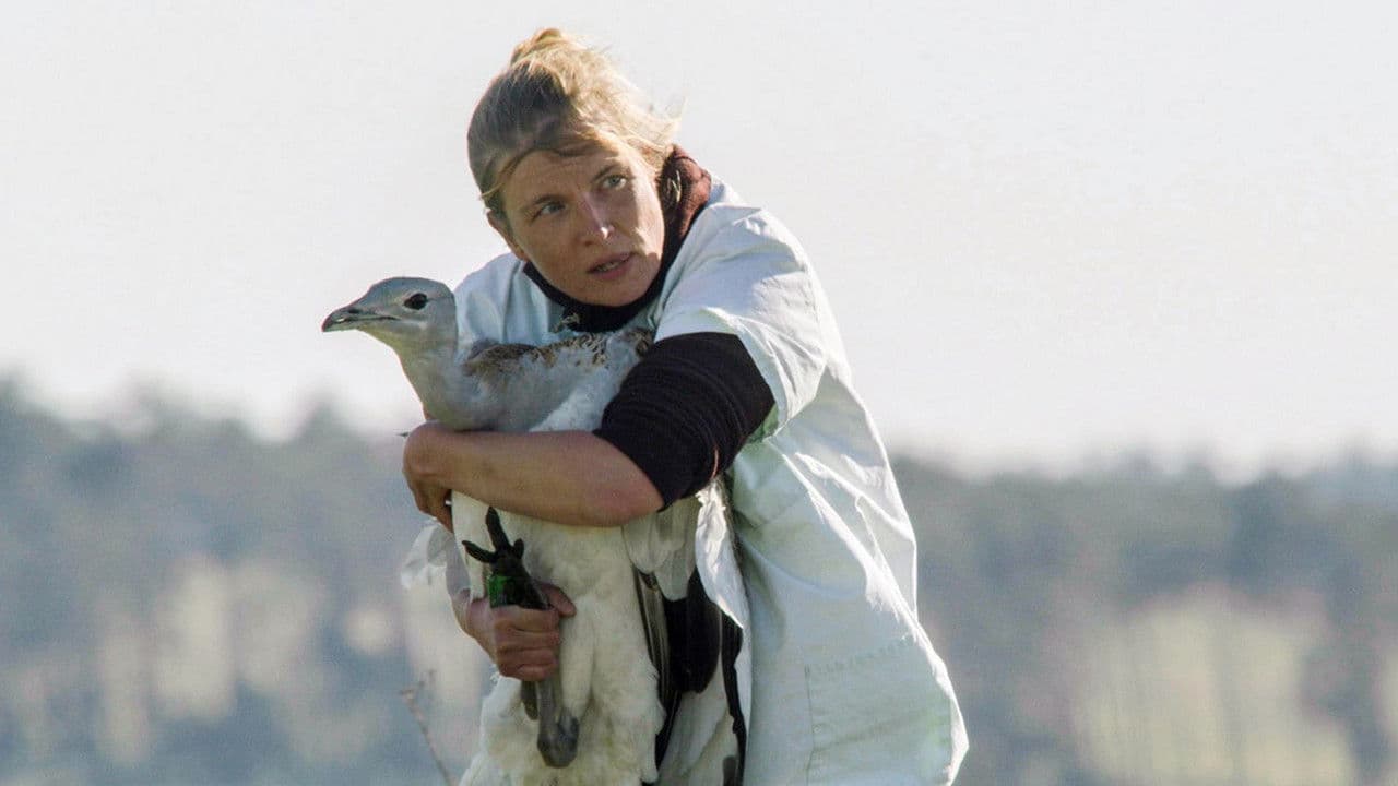 Backdrop – Die Odyssee der Großtrappen - Das Comeback der Riesenvögel