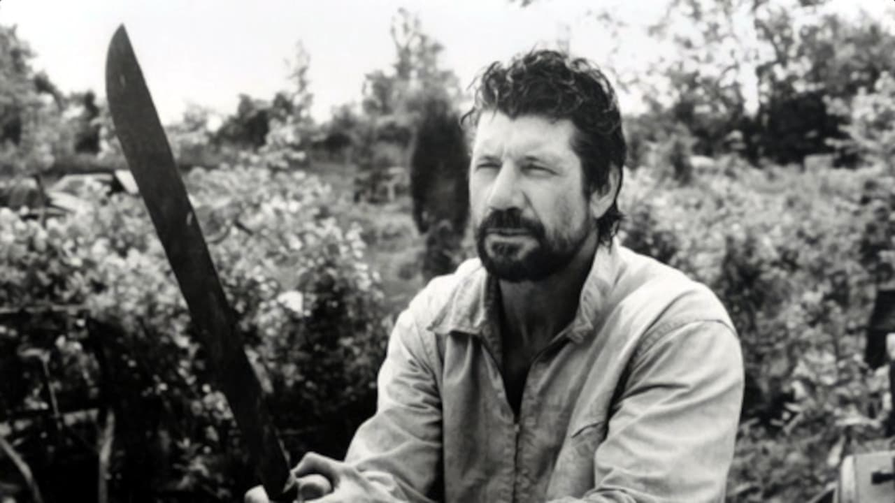 Backdrop – Schnee in Florida