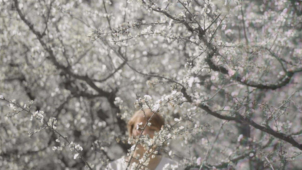 Backdrop – Volver a la luz