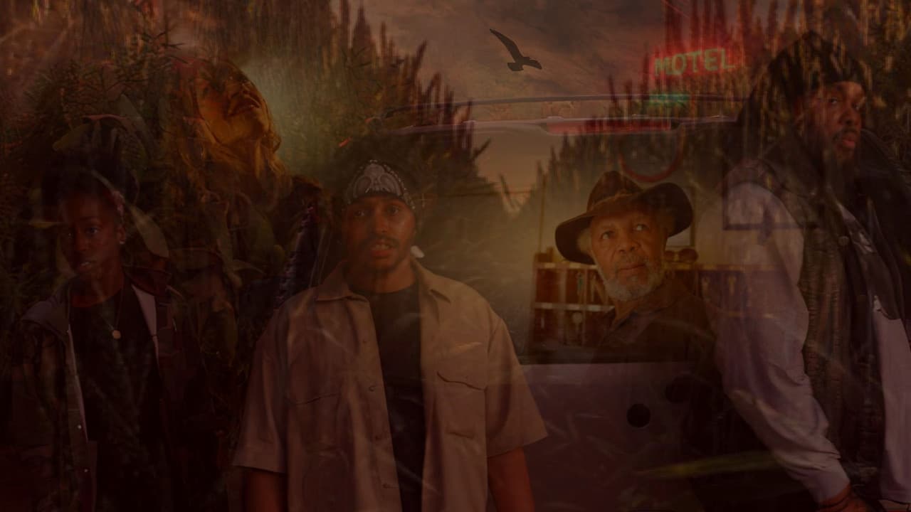 Backdrop – Harvested