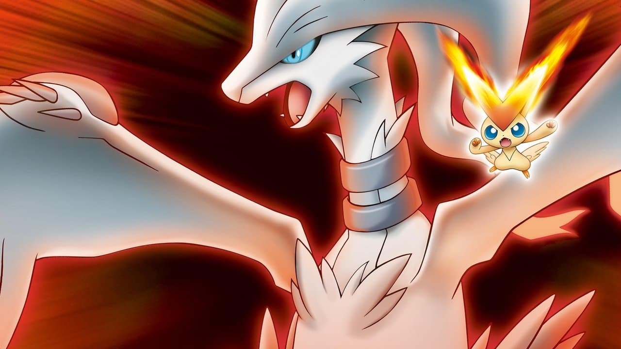 Backdrop – Pokémon 14: Schwarz - Victini und Reshiram