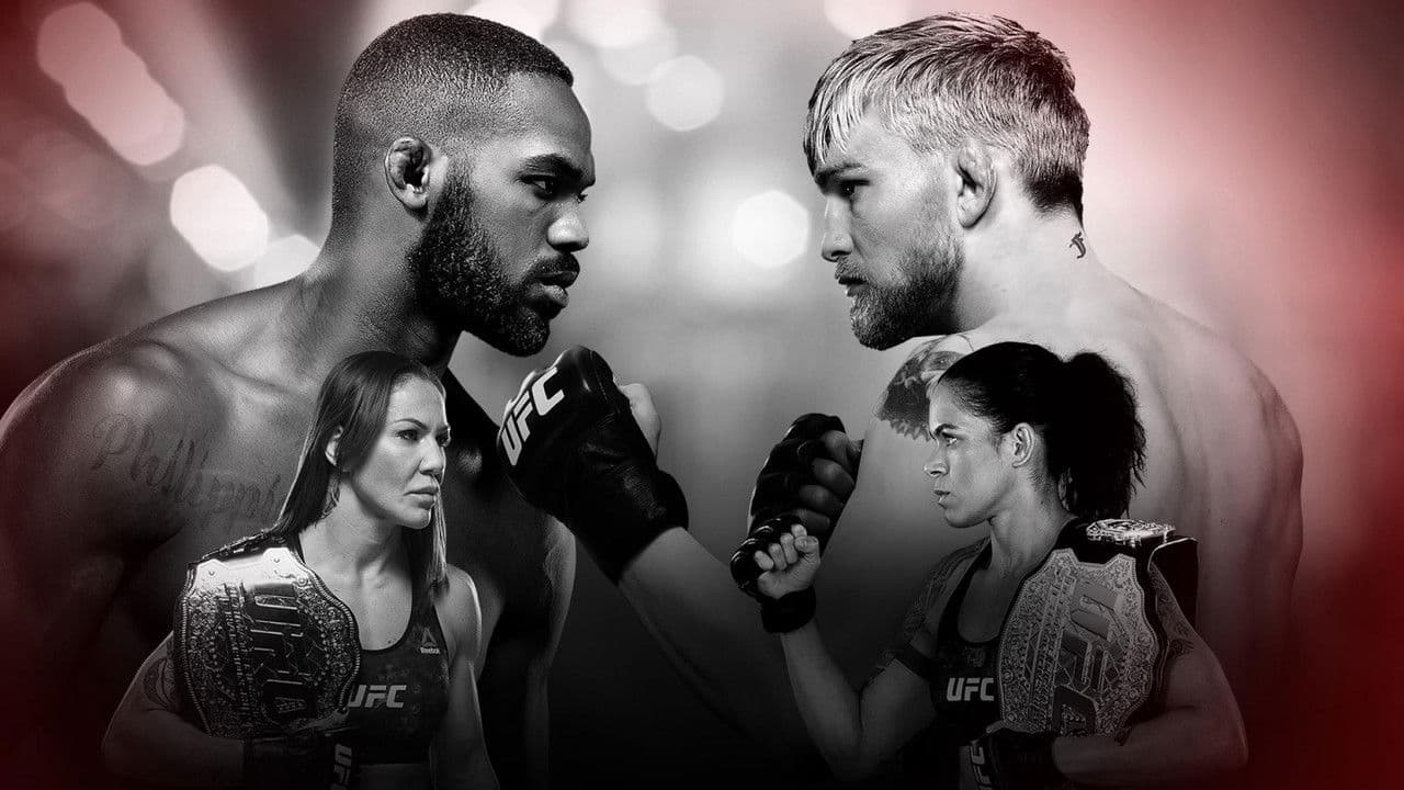 Backdrop – UFC 232: Jones vs. Gustafsson 2