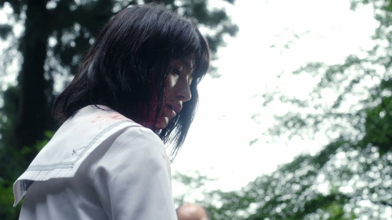 Backdrop – Pure Japanese