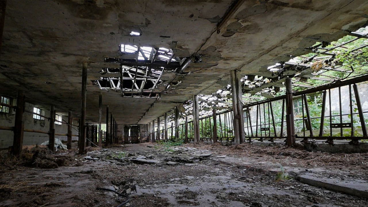 Backdrop – The End of Meat - Eine Welt ohne Fleisch