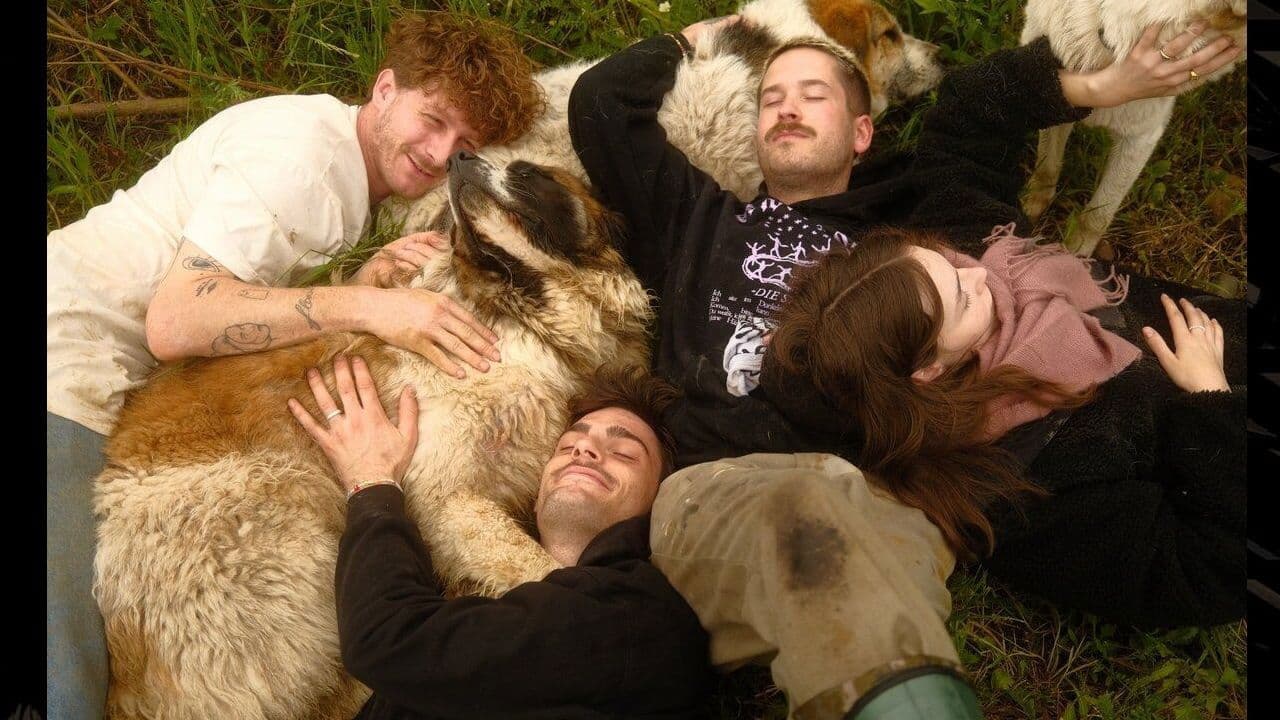 Backdrop – Tierbrücke - Jede Seele braucht ein Zuhause