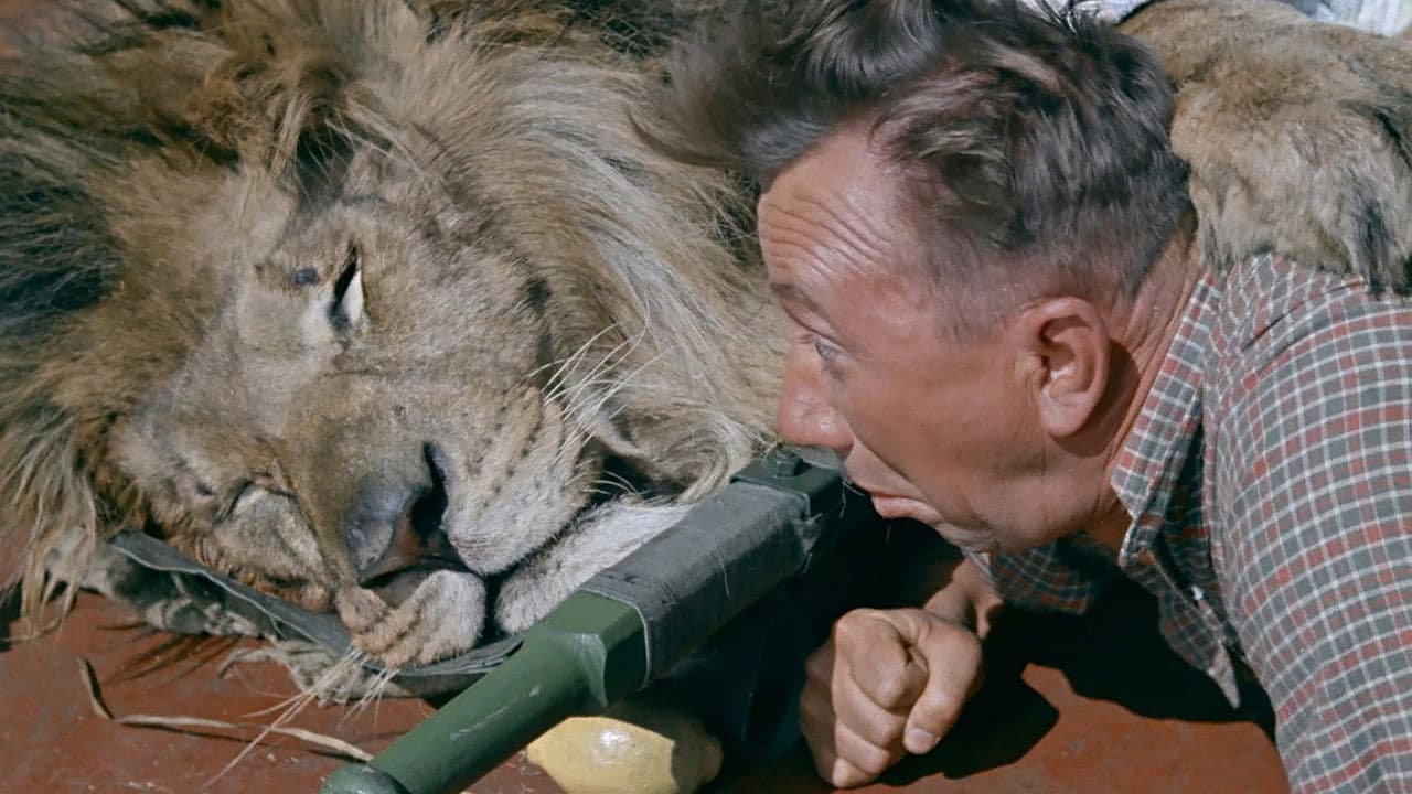 Backdrop – Rette sich wer kann!