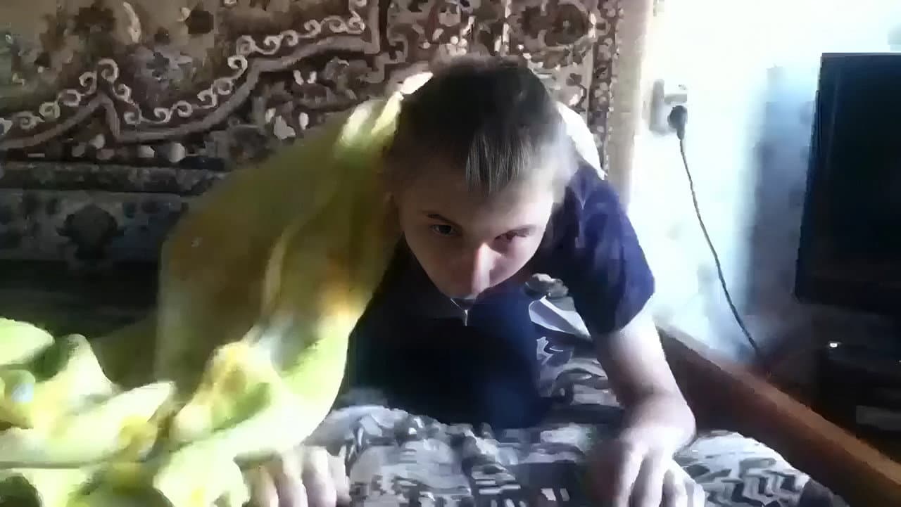 Backdrop – Херня