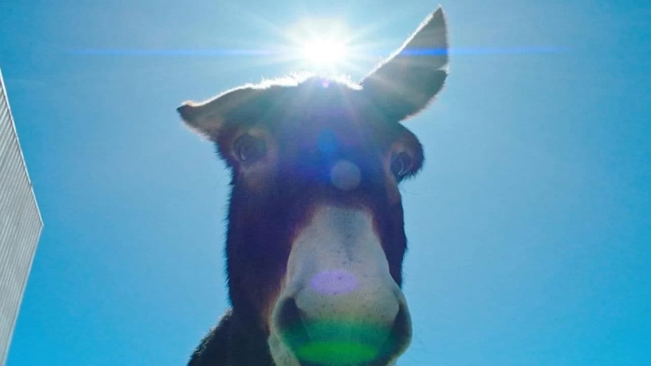 Backdrop – Une parfaite étrangeté