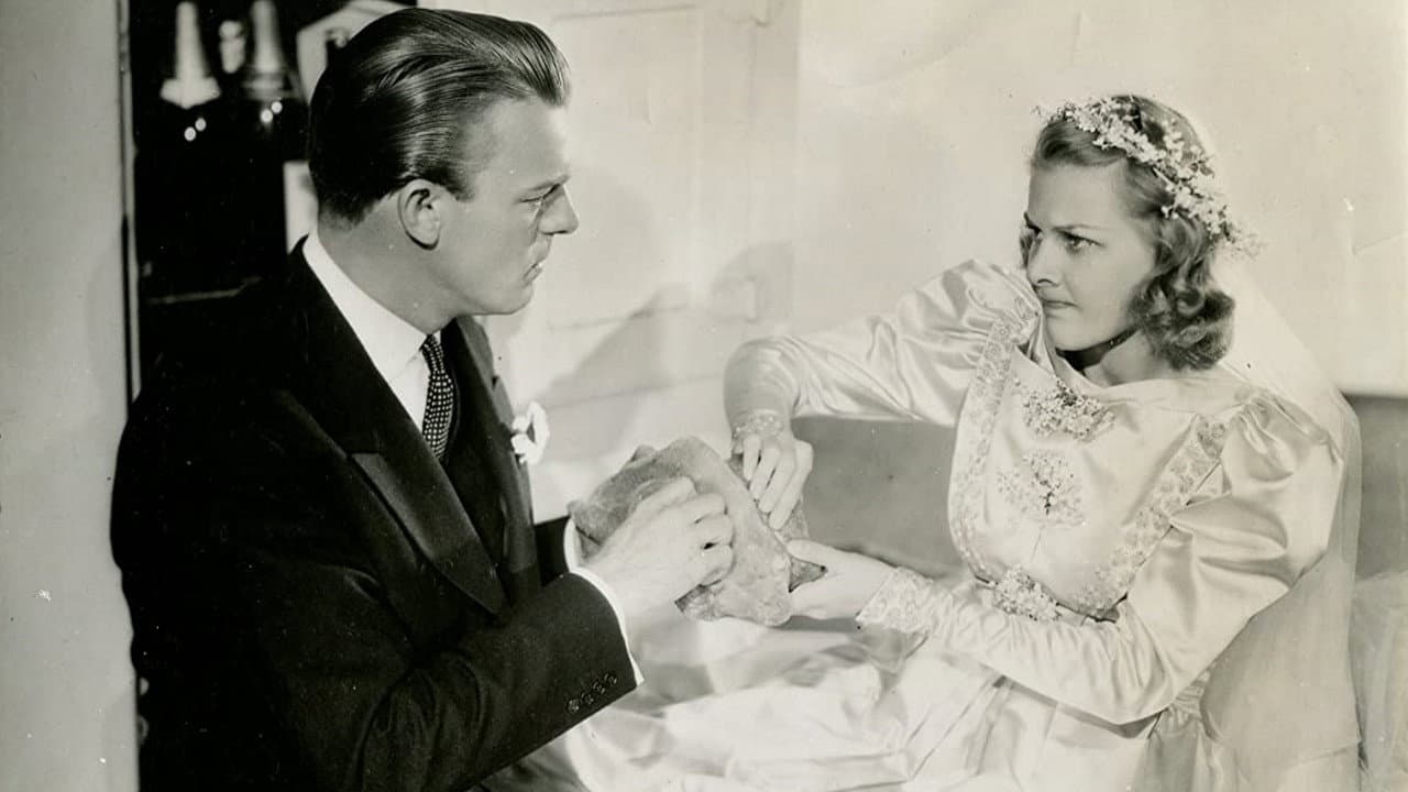 Backdrop – Vacation from Love