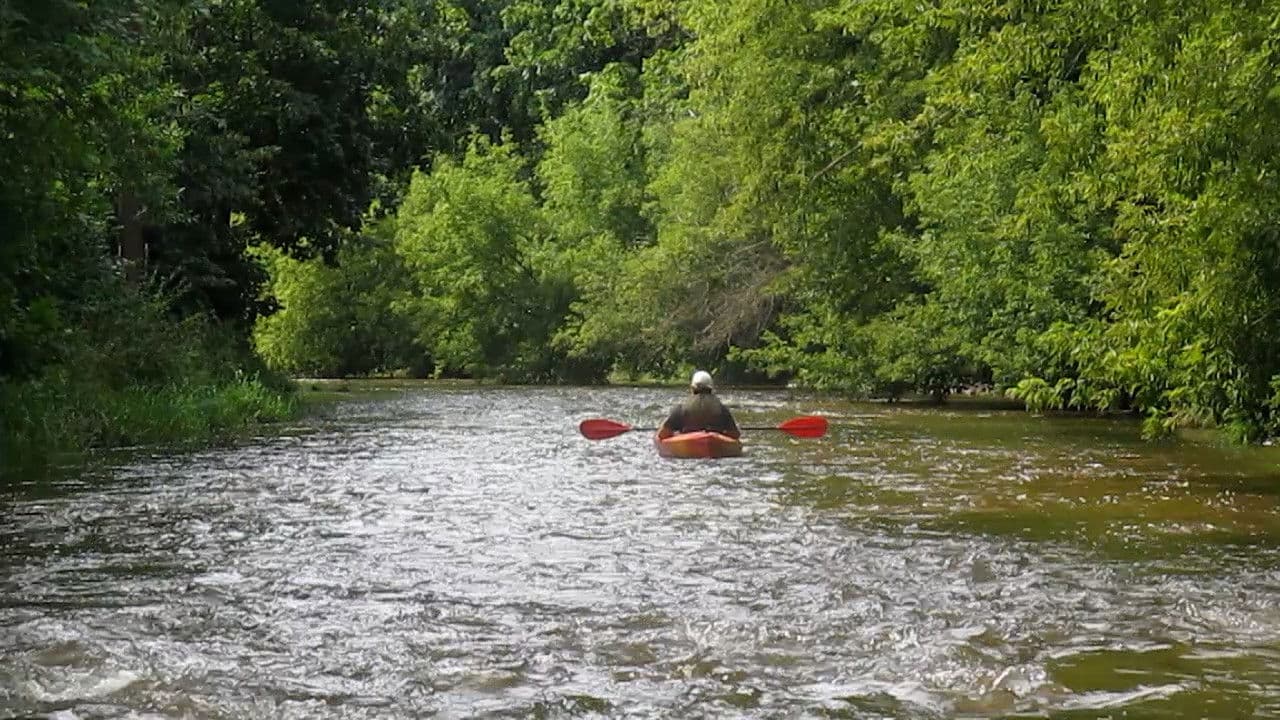 Backdrop – Les oiseaux de l'Est
