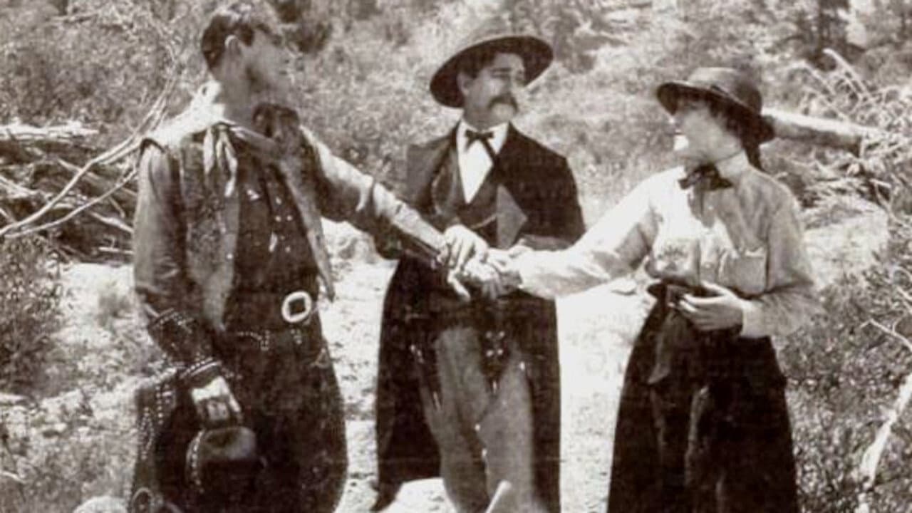 Backdrop – The Desire of the Moth