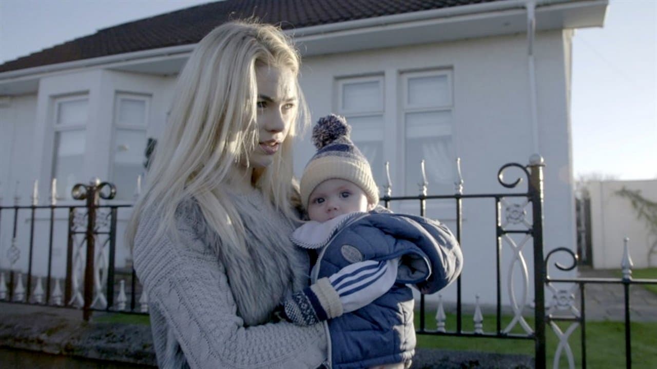 Backdrop – Scheme Birds