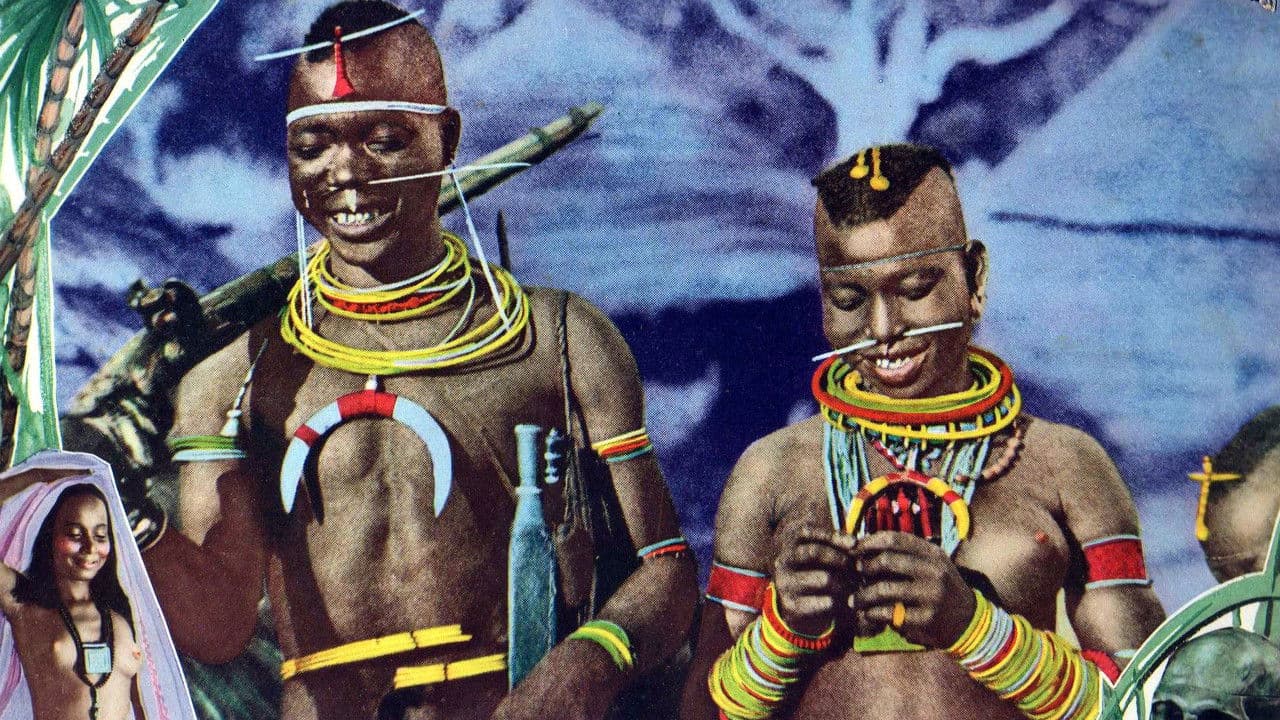 Backdrop – Curse of the Ubangi