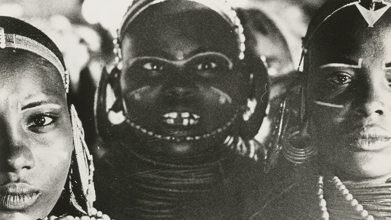 Backdrop – Il mondo di notte numero 3