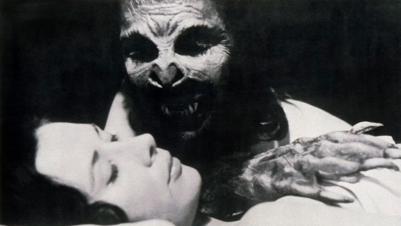 Backdrop – Bat People – Die Blutsauger