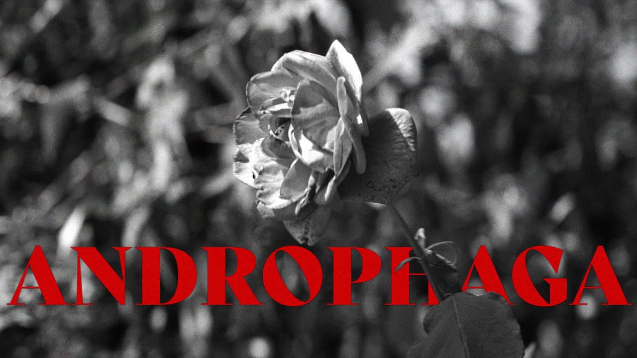 Backdrop – Androphaga