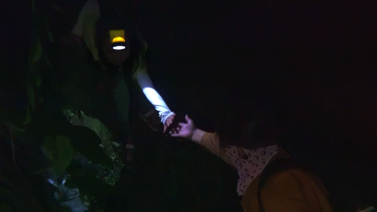 Backdrop – Flucht aus Nordkorea