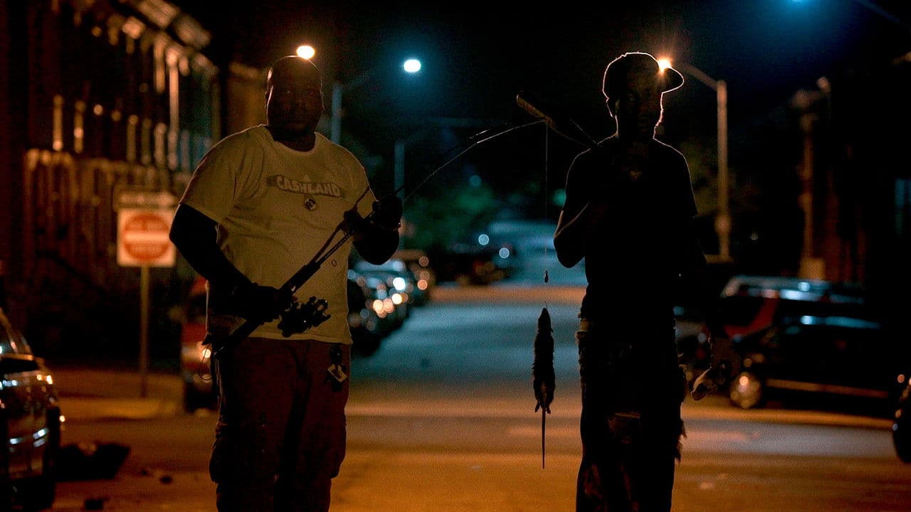 Backdrop – Rat Film