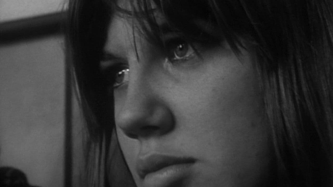 Backdrop – Warrendale