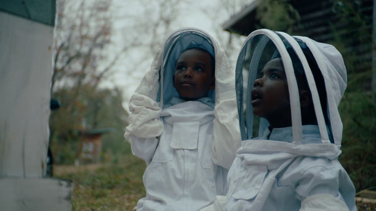 Backdrop – The Boys and the Bees