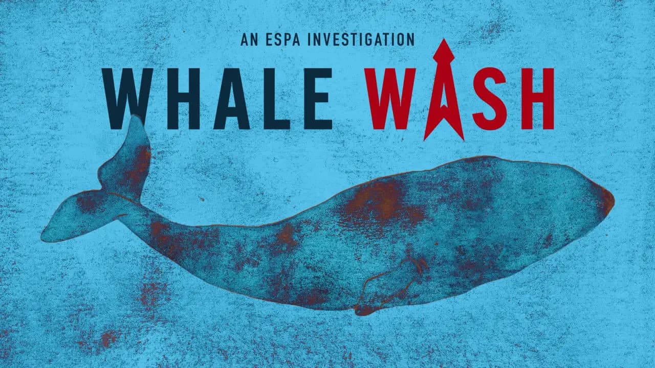 Backdrop – Whale Wash