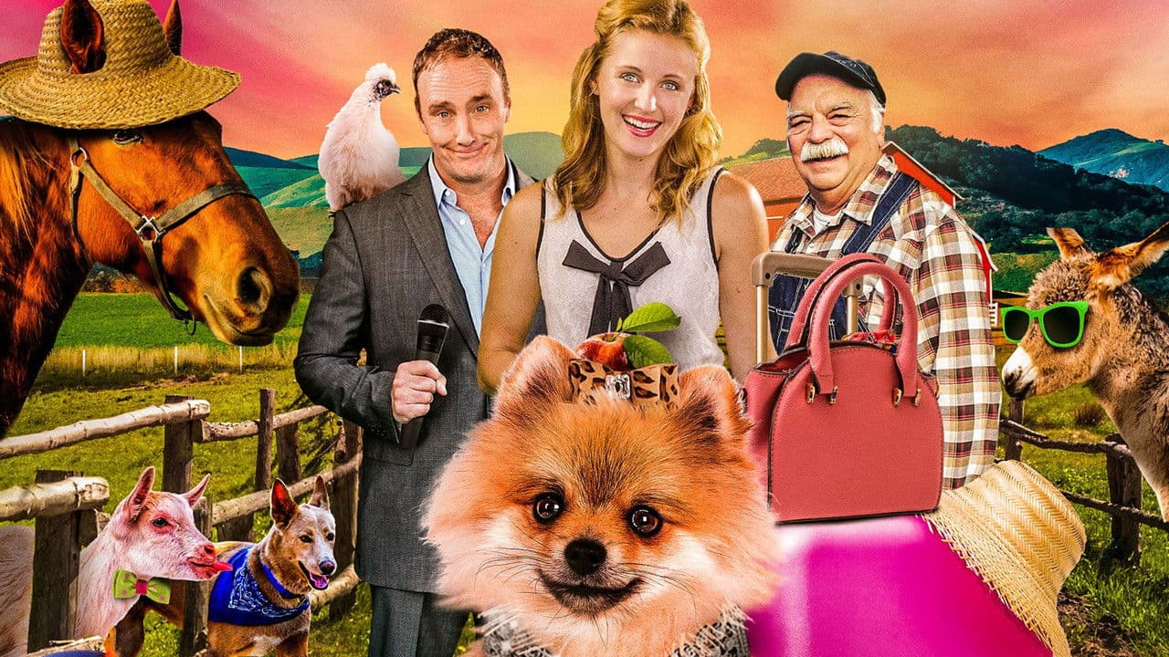 Backdrop – PawParazzi