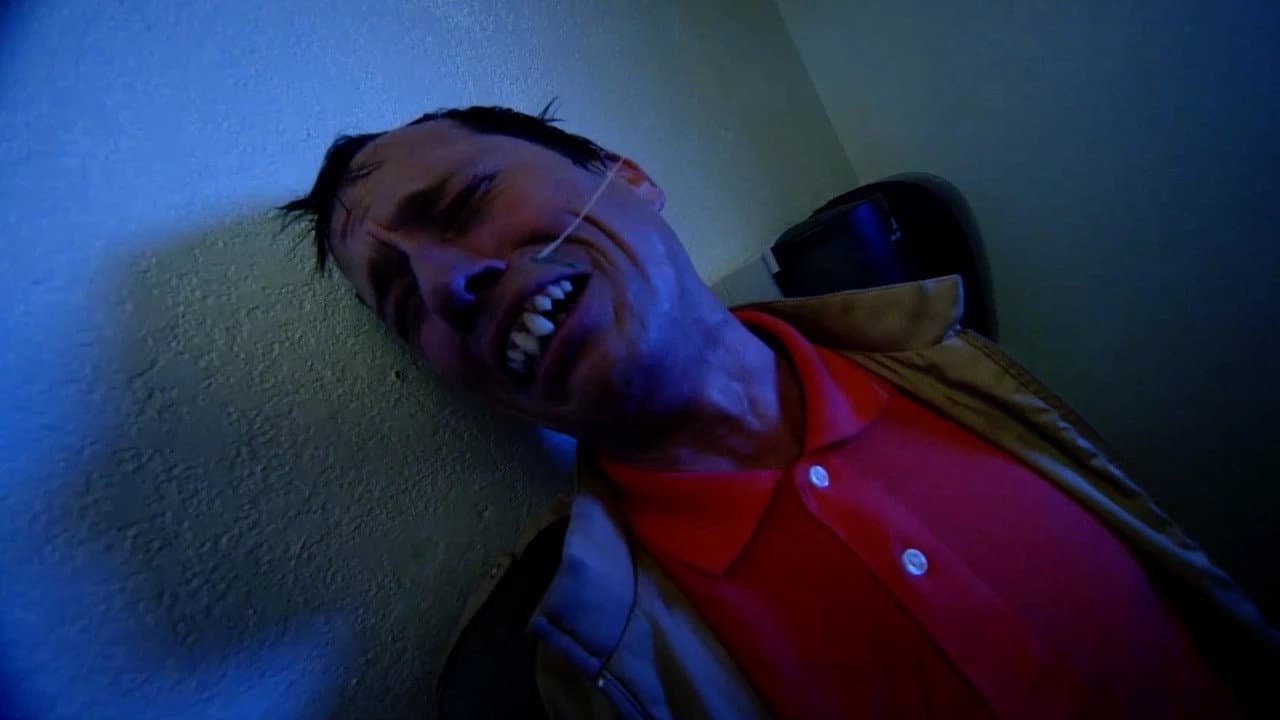 Backdrop – Rottentail