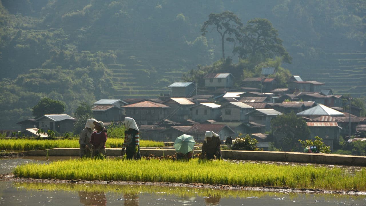 Backdrop – Walang Rape sa Bontok