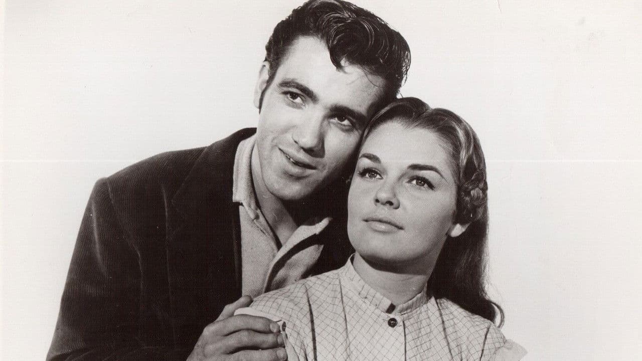 Backdrop – The Little Shepherd Of Kingdom Come