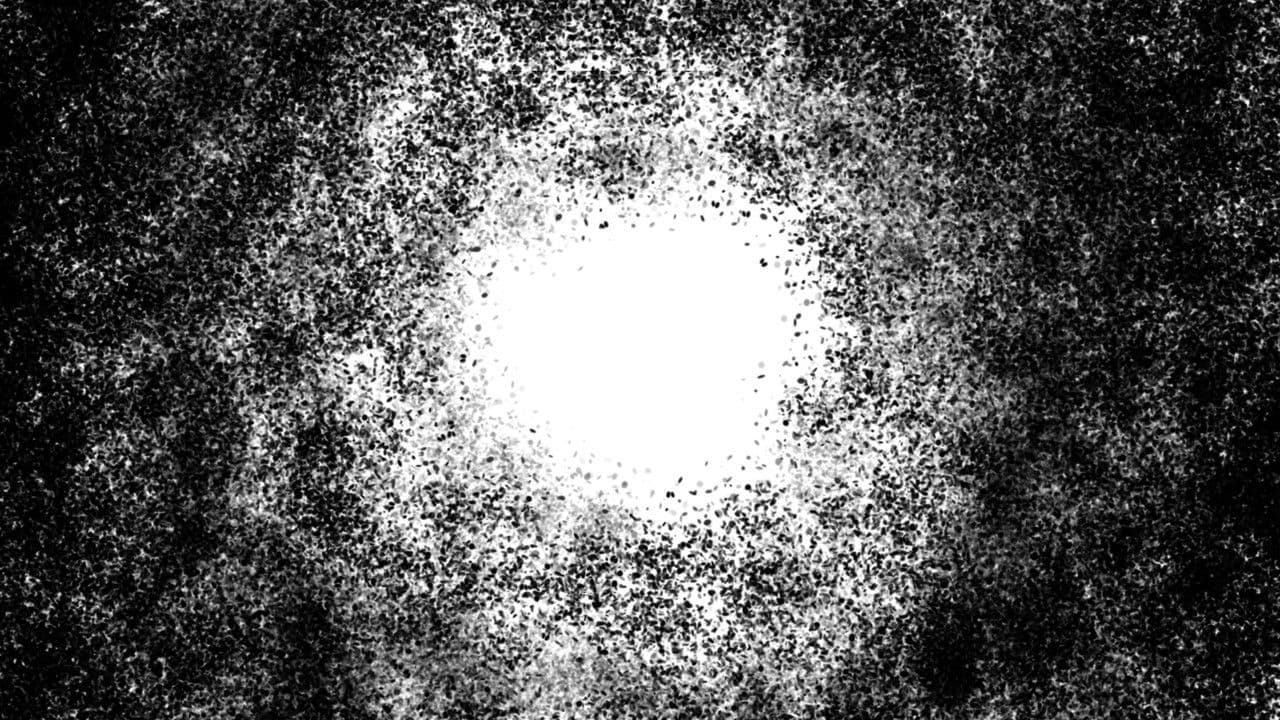 Backdrop – The Frisbee