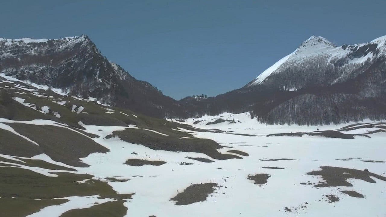 Backdrop – Linea 7000