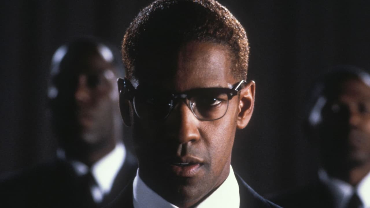 Backdrop – Denzel Washington - Spiegelbilder Amerikas