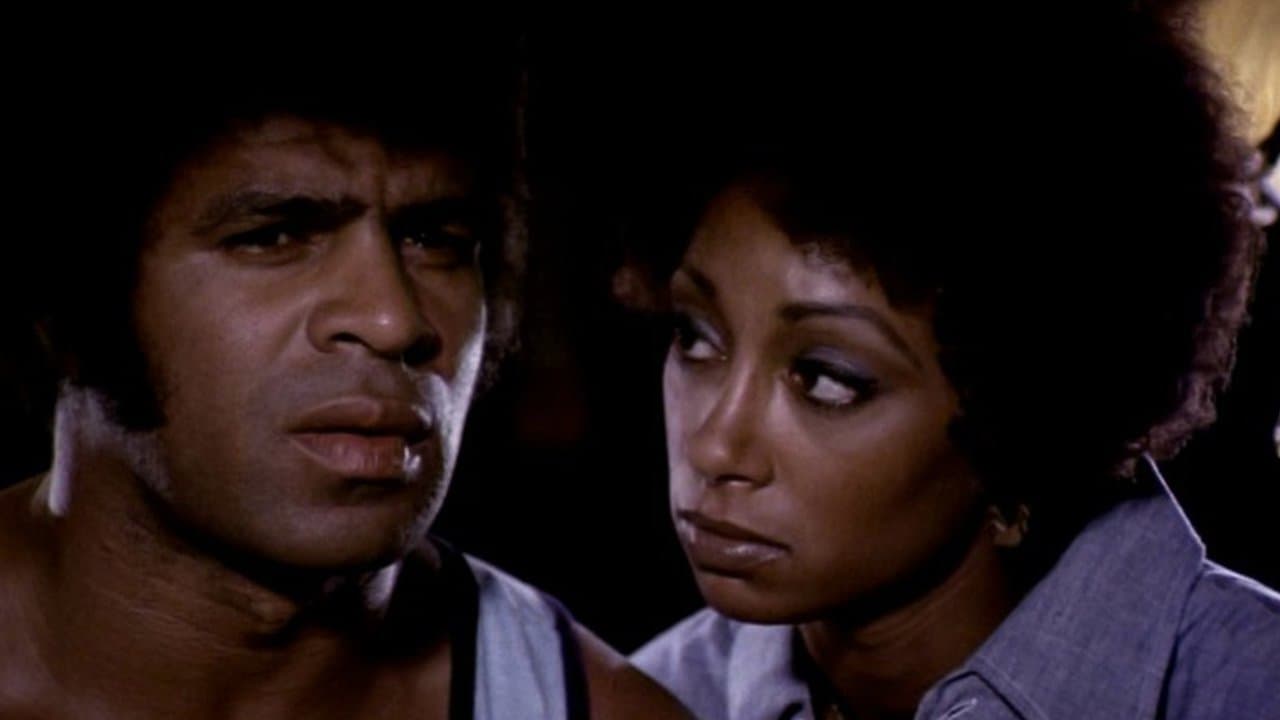 Backdrop – Black Shampoo