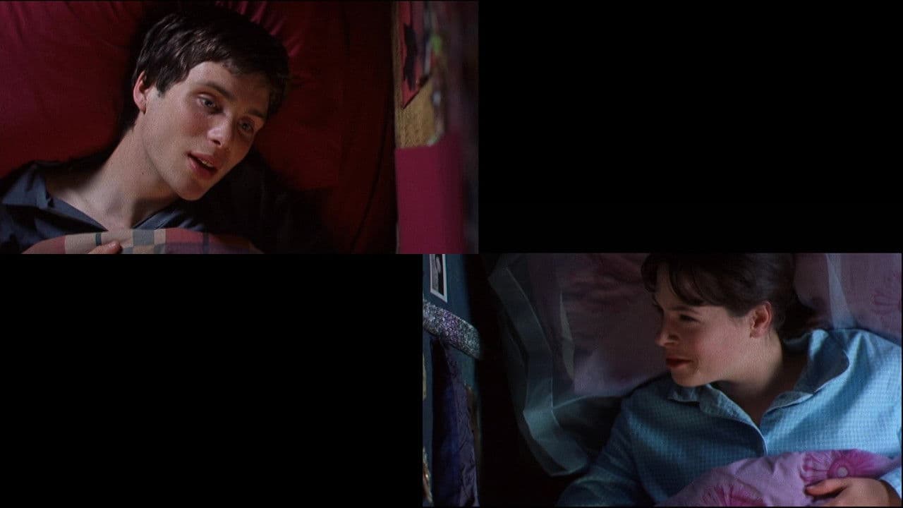 Backdrop – Disco Pigs