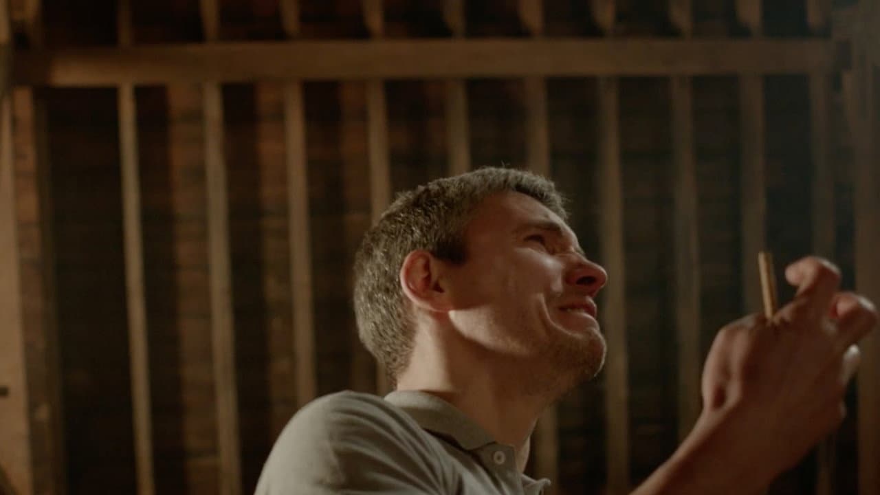 Backdrop – The Show