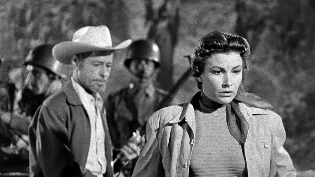 Backdrop – The Black Scorpion