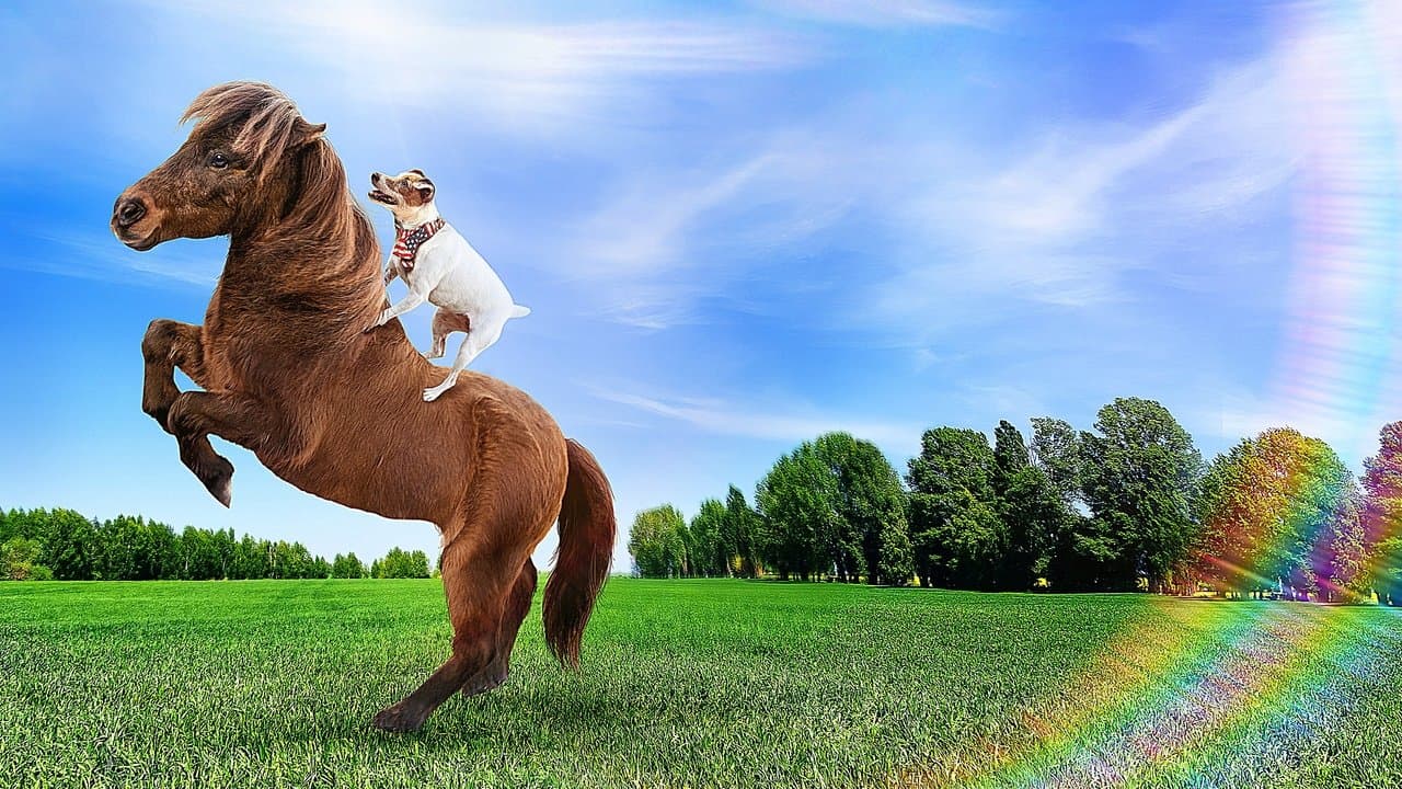 Backdrop – Adventures of Dally and Spanky