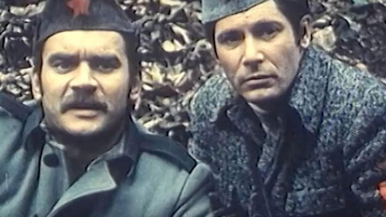 Backdrop – U gori raste zelen bor