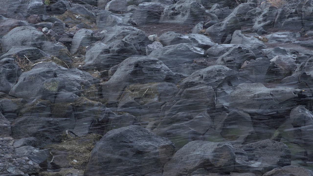 Backdrop – 돌들이 말할 때까지