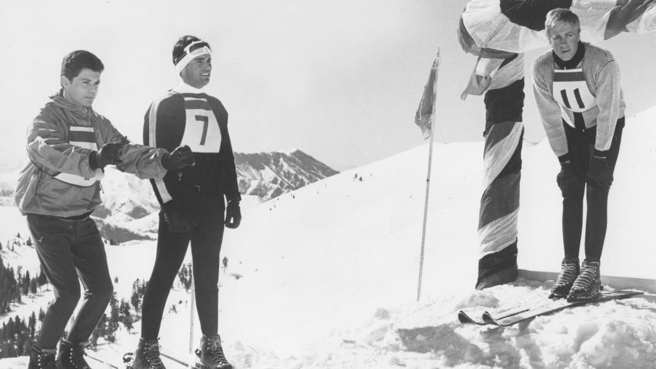 Backdrop – Ski Party