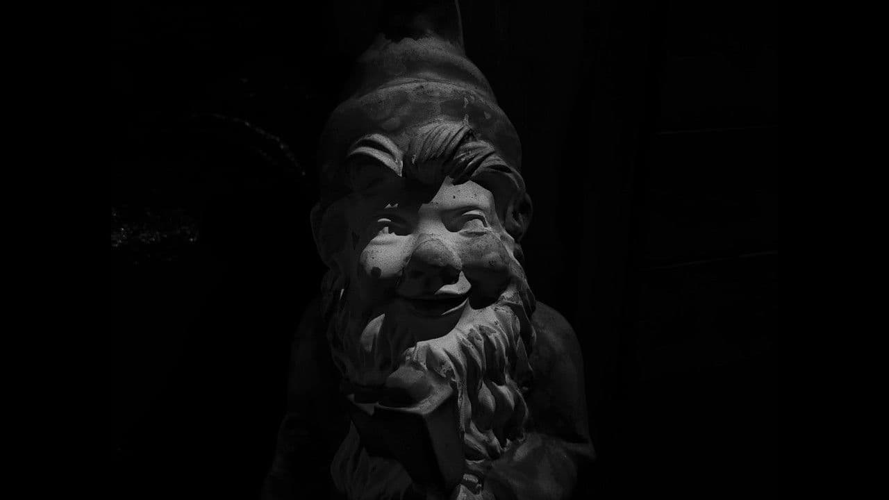 Backdrop – Falcatus